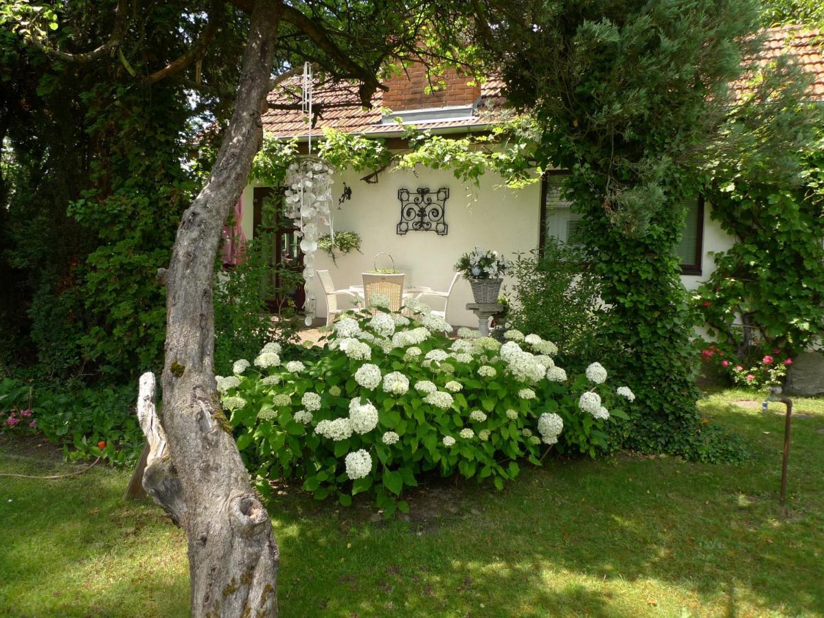 Gemuetliches Gaestehaus Berlin Bohnsdorf, Naehe Flughafen Schoenefeld Exterior foto